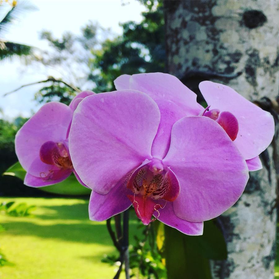 Pousada Villa Del Rey Paraty Kültér fotó
